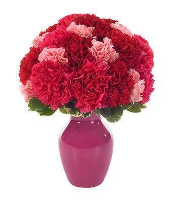 Sweet Carnations Bouquet